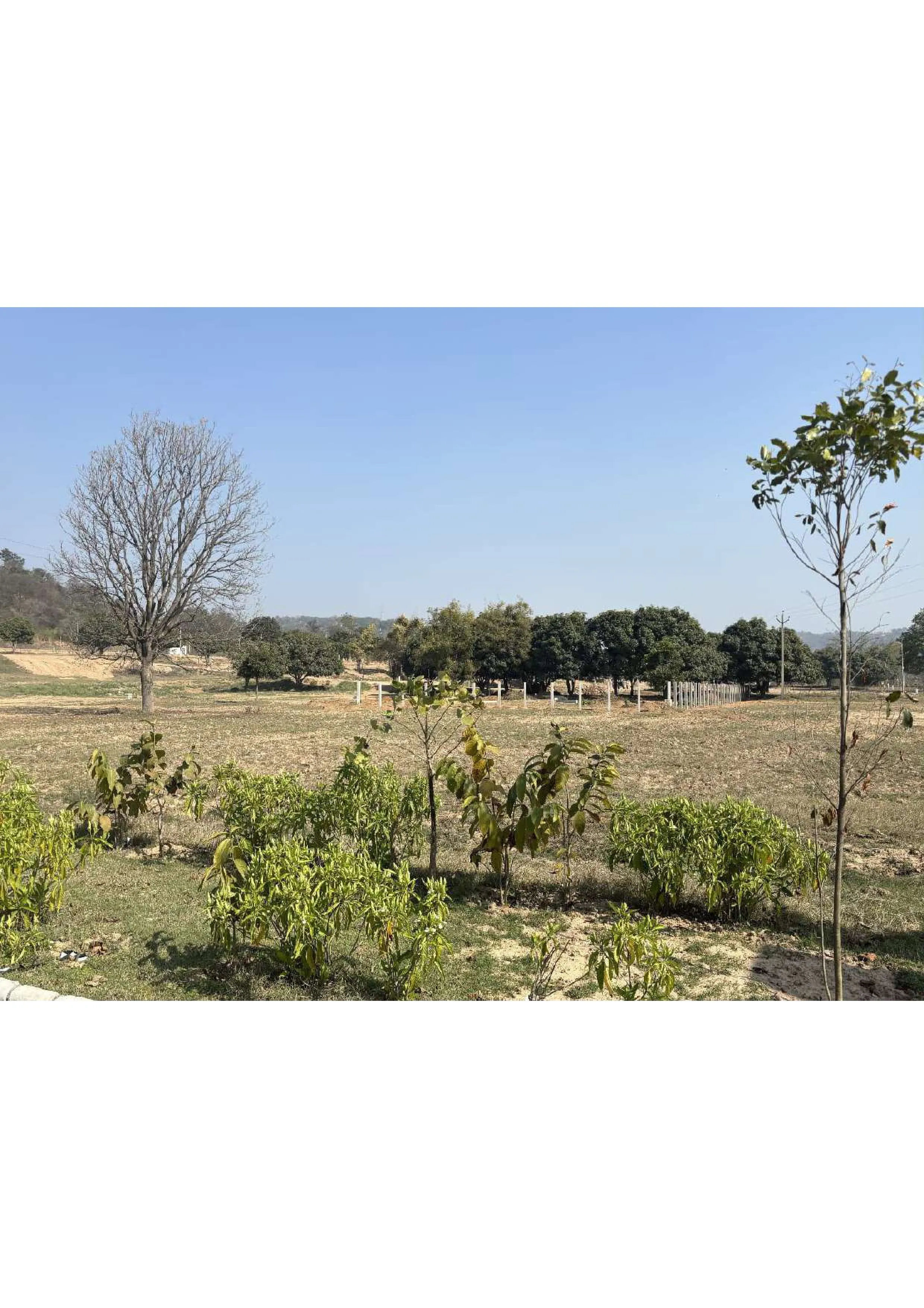 Investment Farm Plots Near Chandigarh – Monterra Farms