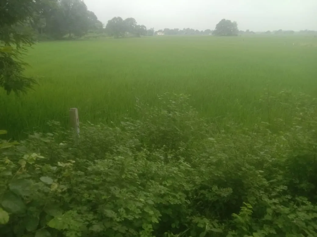 2.5 Manda Prime Plot ON MAIN ROAD for Sale in Zamania, Ghazipur