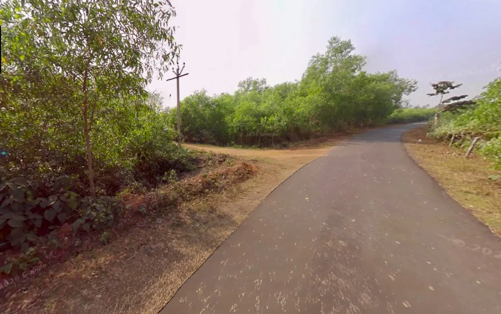 80 bigha plot sell in near fulkushma , bankura