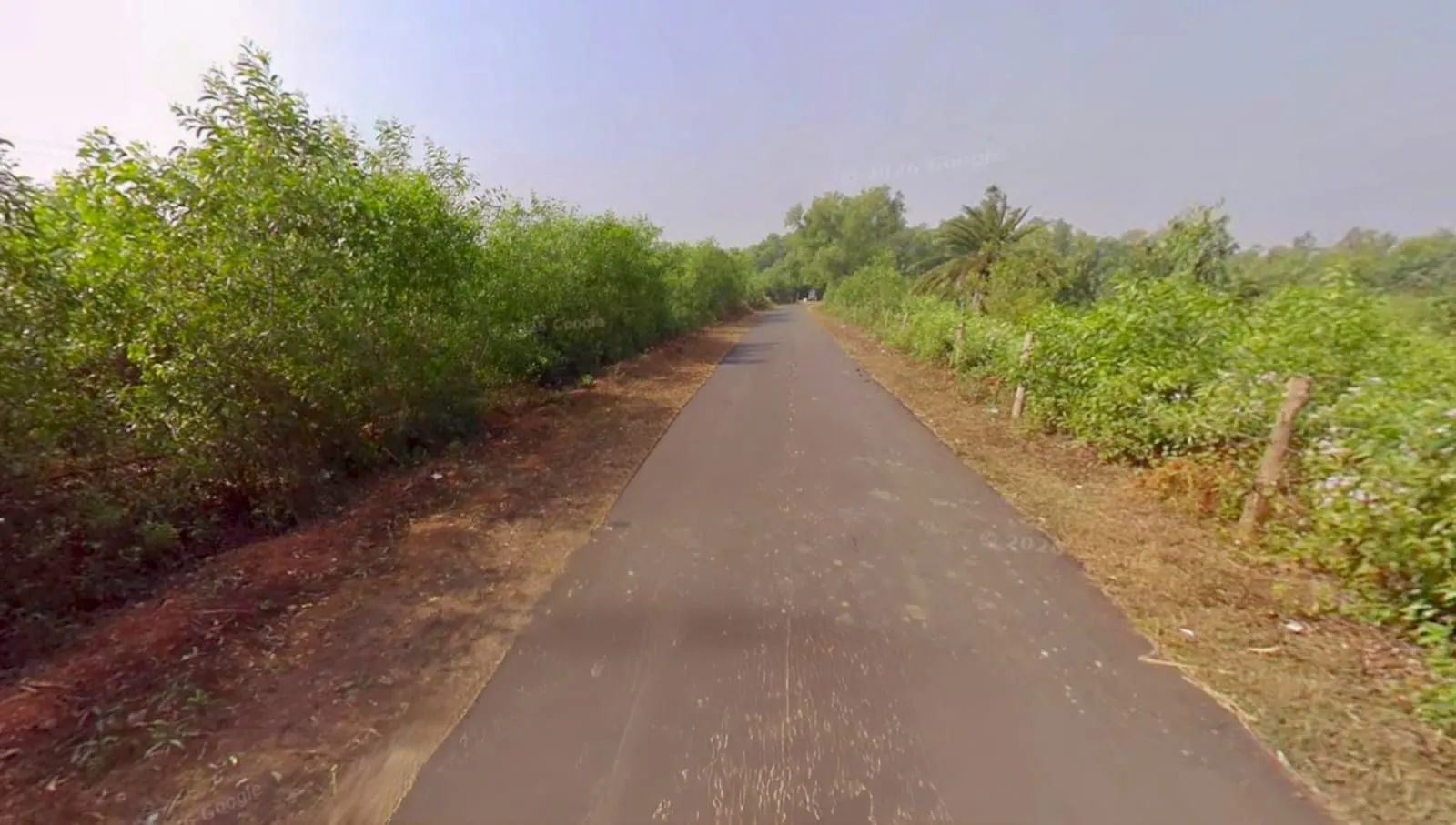 80 bigha plot sell in near fulkushma , bankura