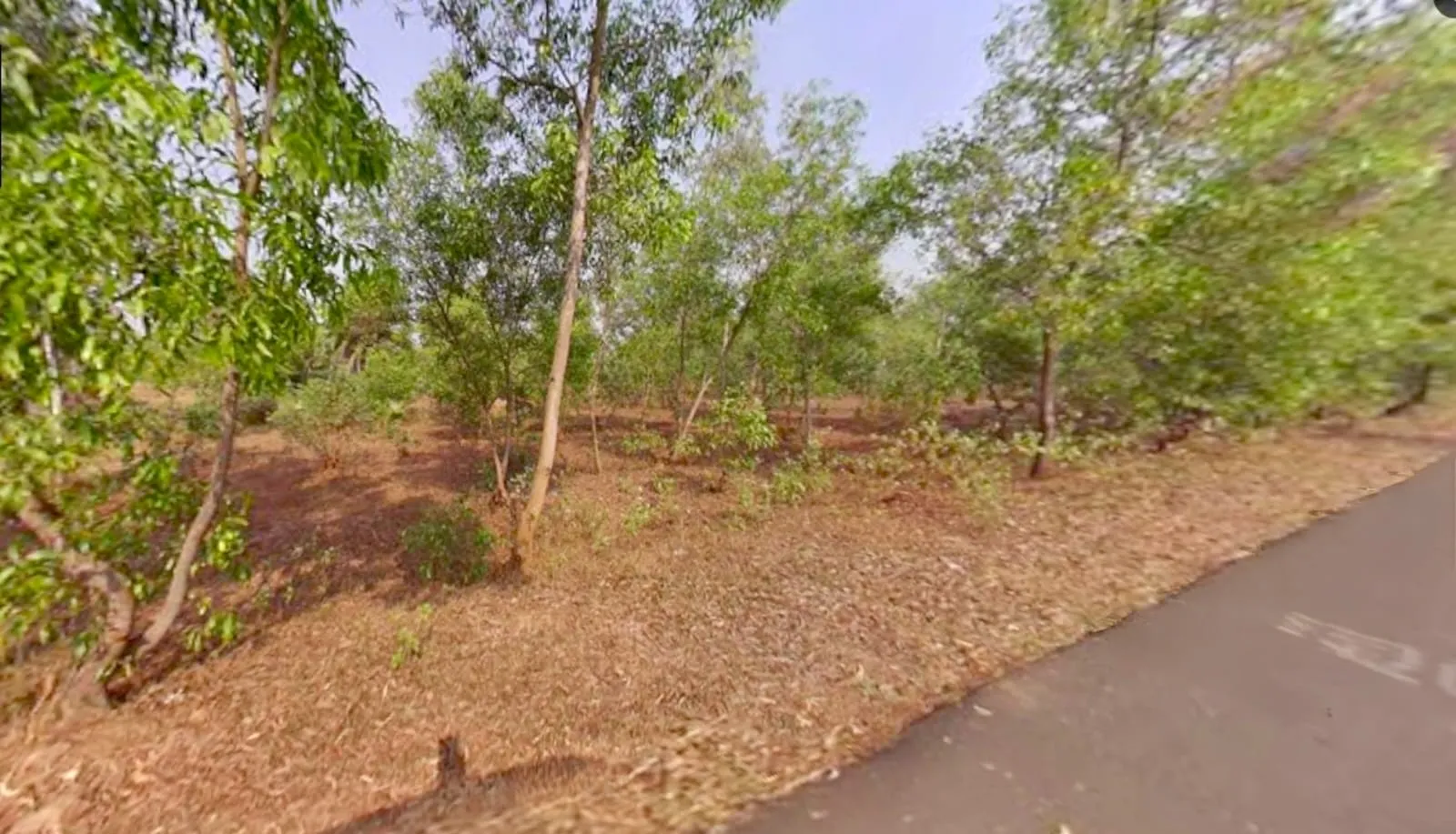 80 bigha plot sell in near fulkushma , bankura