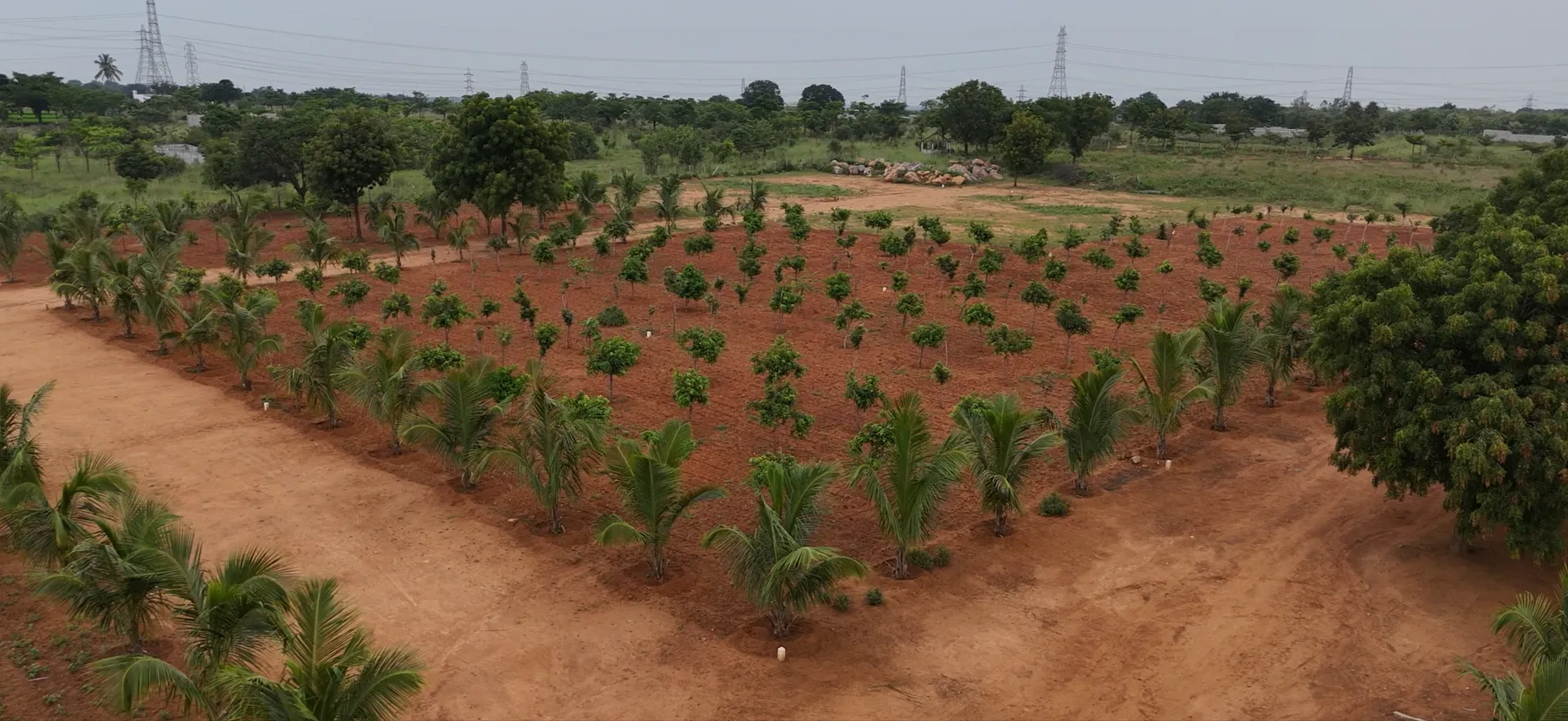 My Farm Greenfields