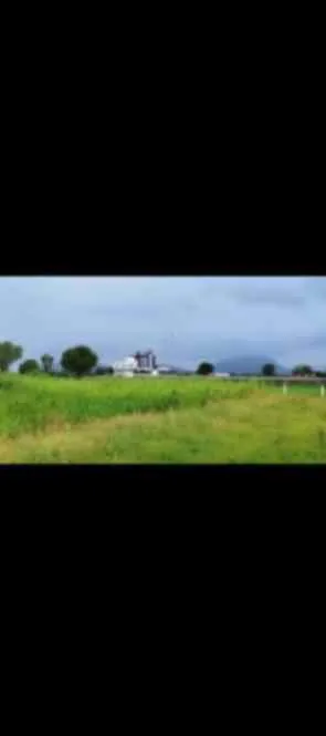 4.25 BIGHA / 1.7001 ACRE FARMLAND ( FERTILE )