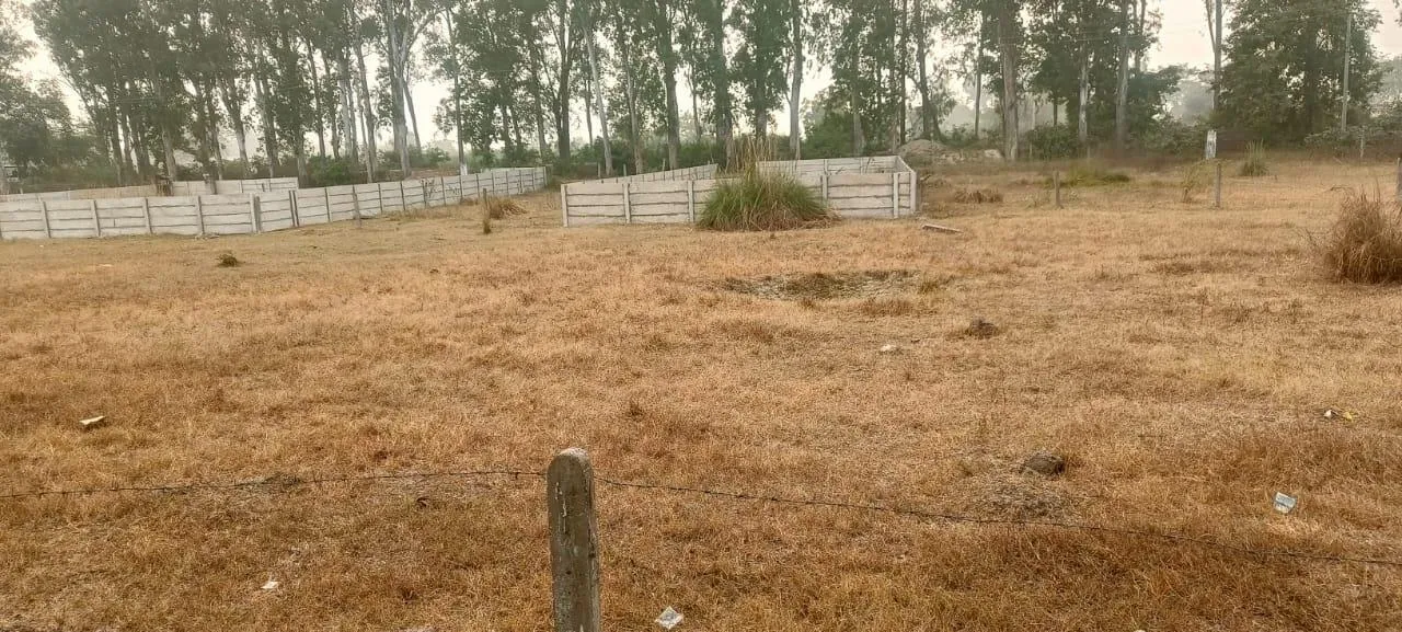 Want to Buy a Plot i. Jaipur-Nearby