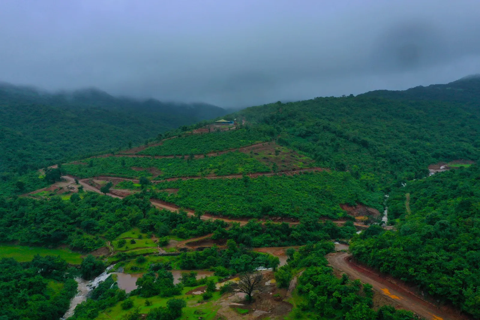 Agricultural plot 11000 sqft