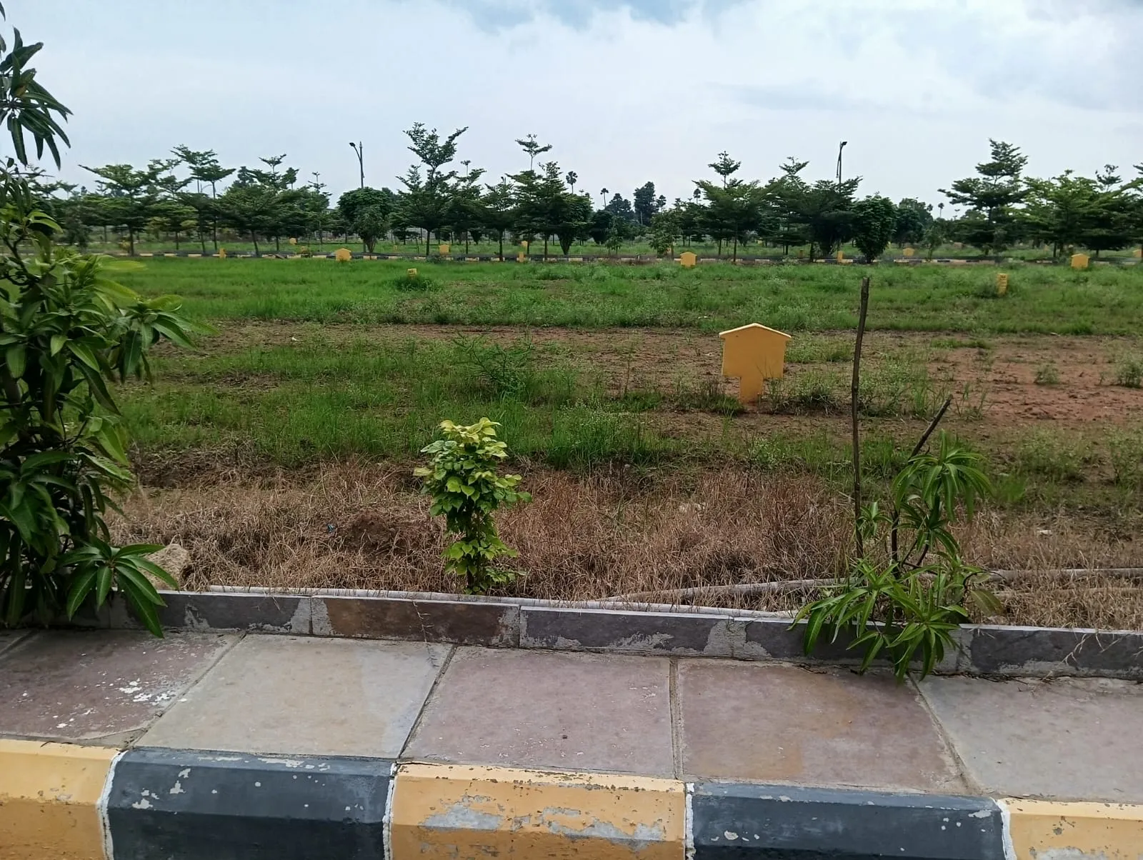 Plots for sale in Hyderabad near Statue of equality, 35 min drive from Gachibowli circle 9701498367