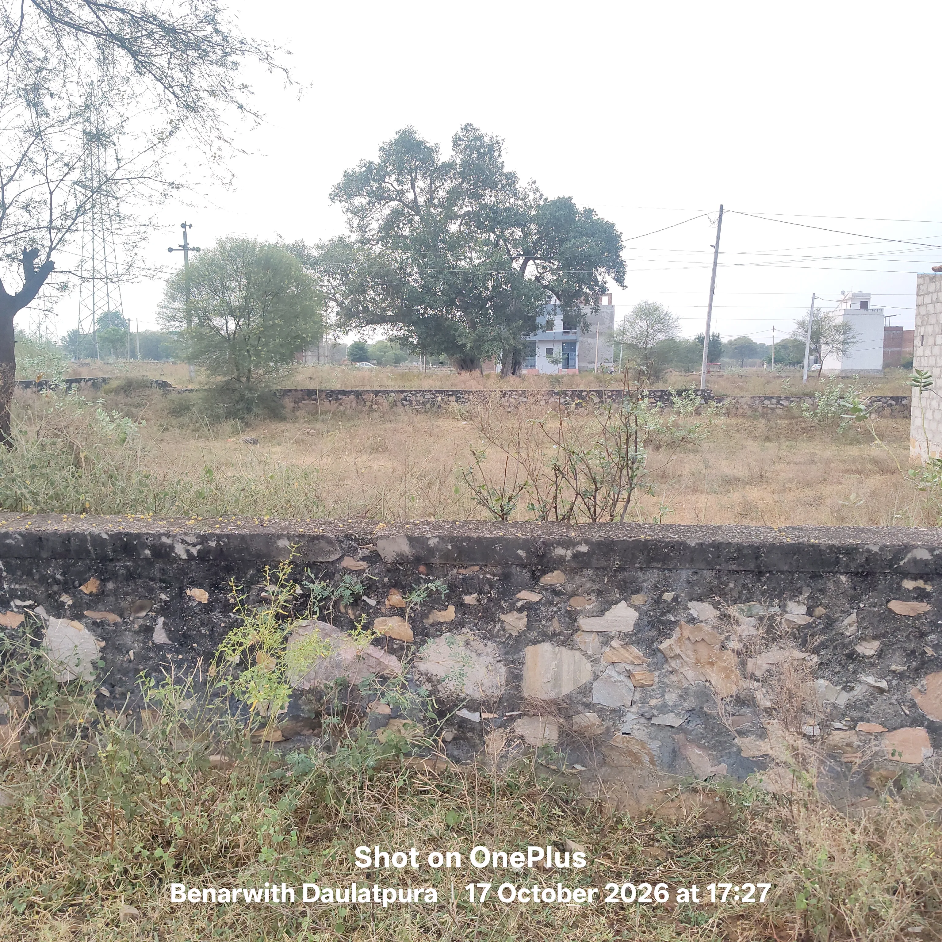 244.44 square yard Plot