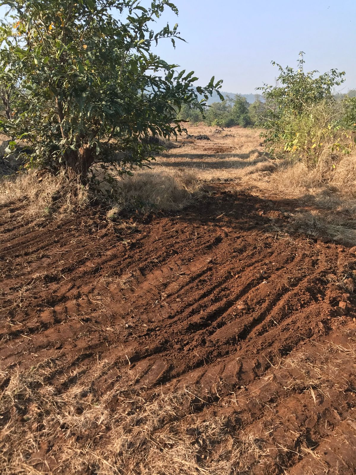 136 Guntha Agricultural Land for Sale in Konkan (Raigad District) in Panvel