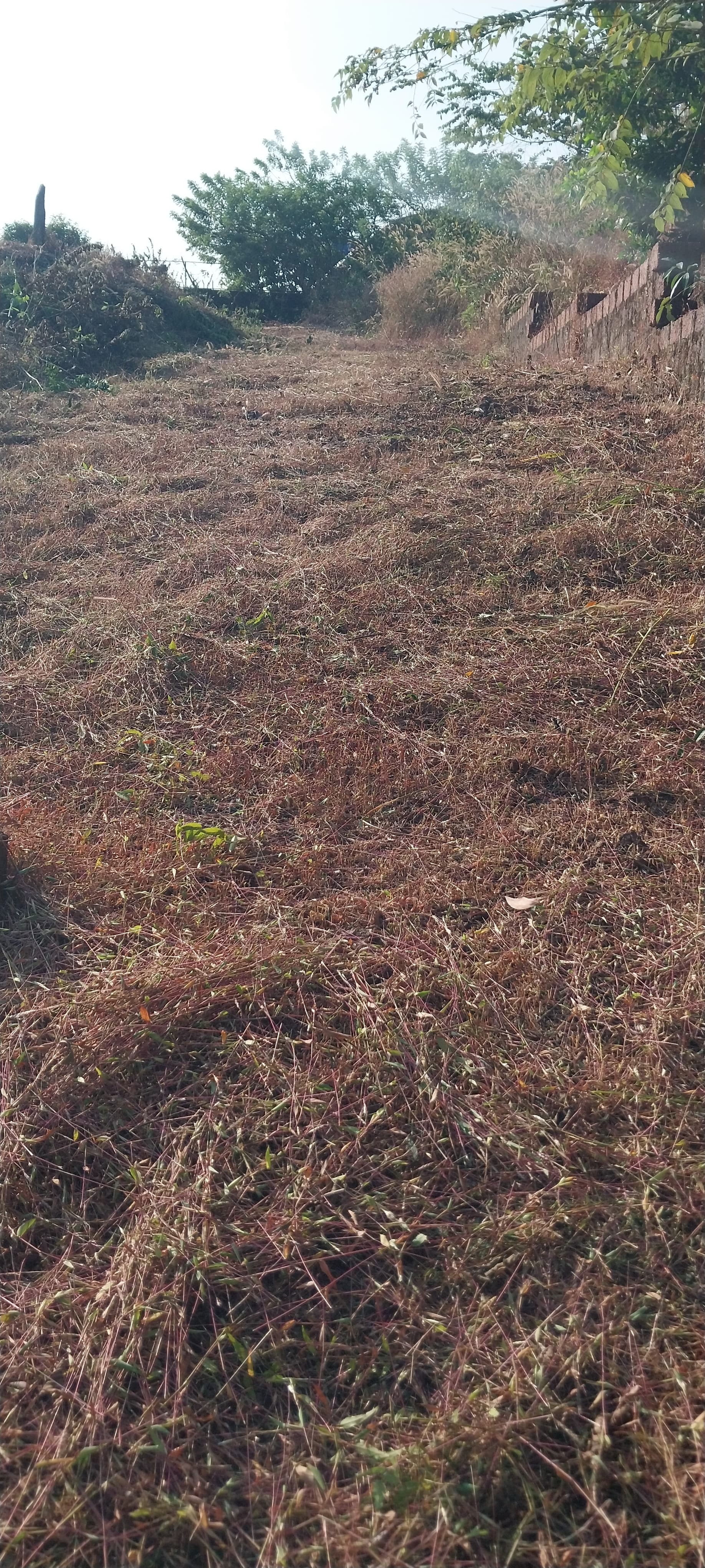 21 cents land at Shaktinagar Mangalore  in Mangalore