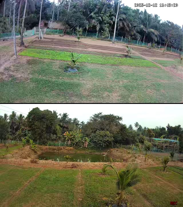 Farmhouse land bramagiree puri