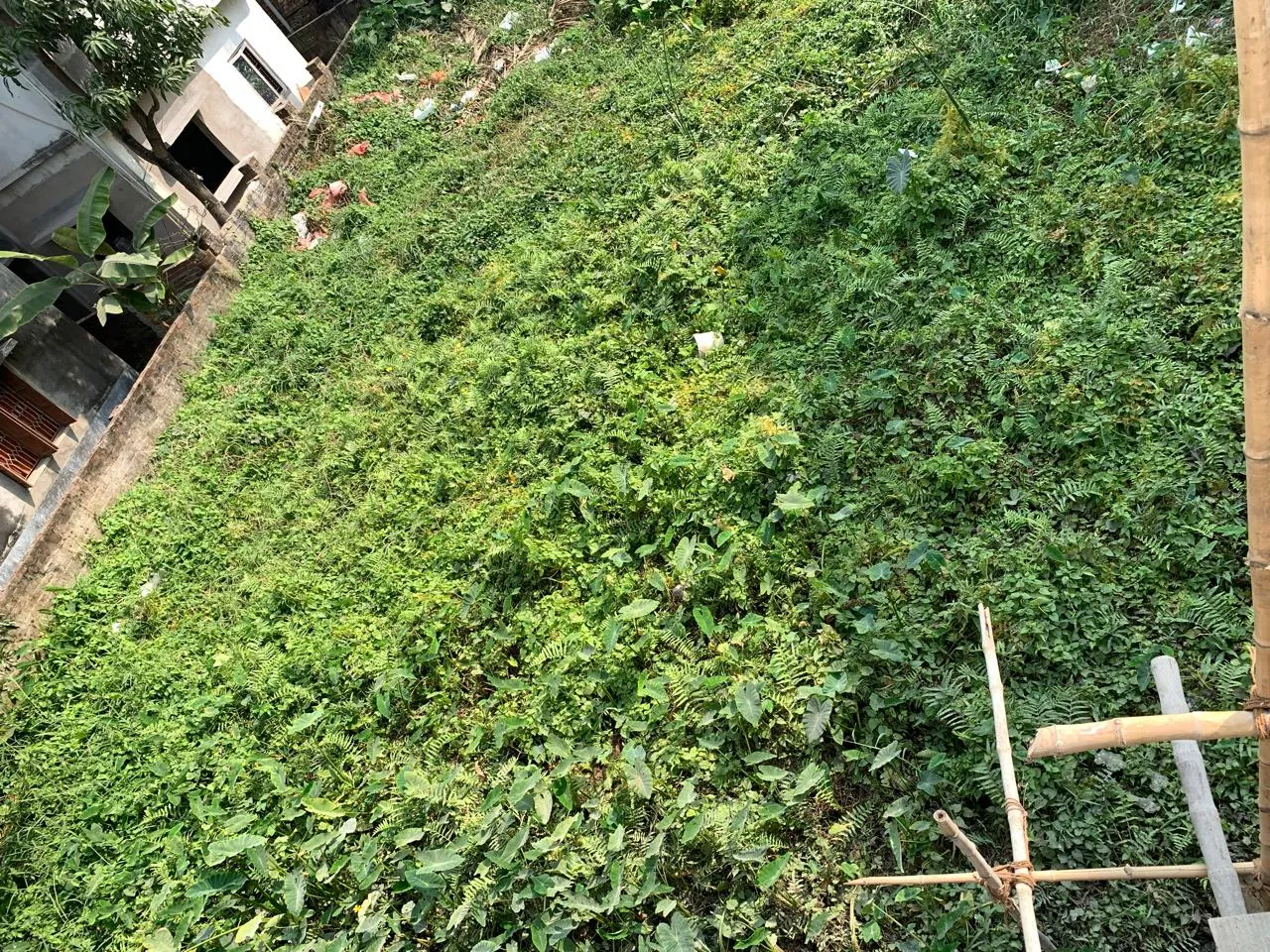 1075 Sq. Ft. vacant land in Sodepur.