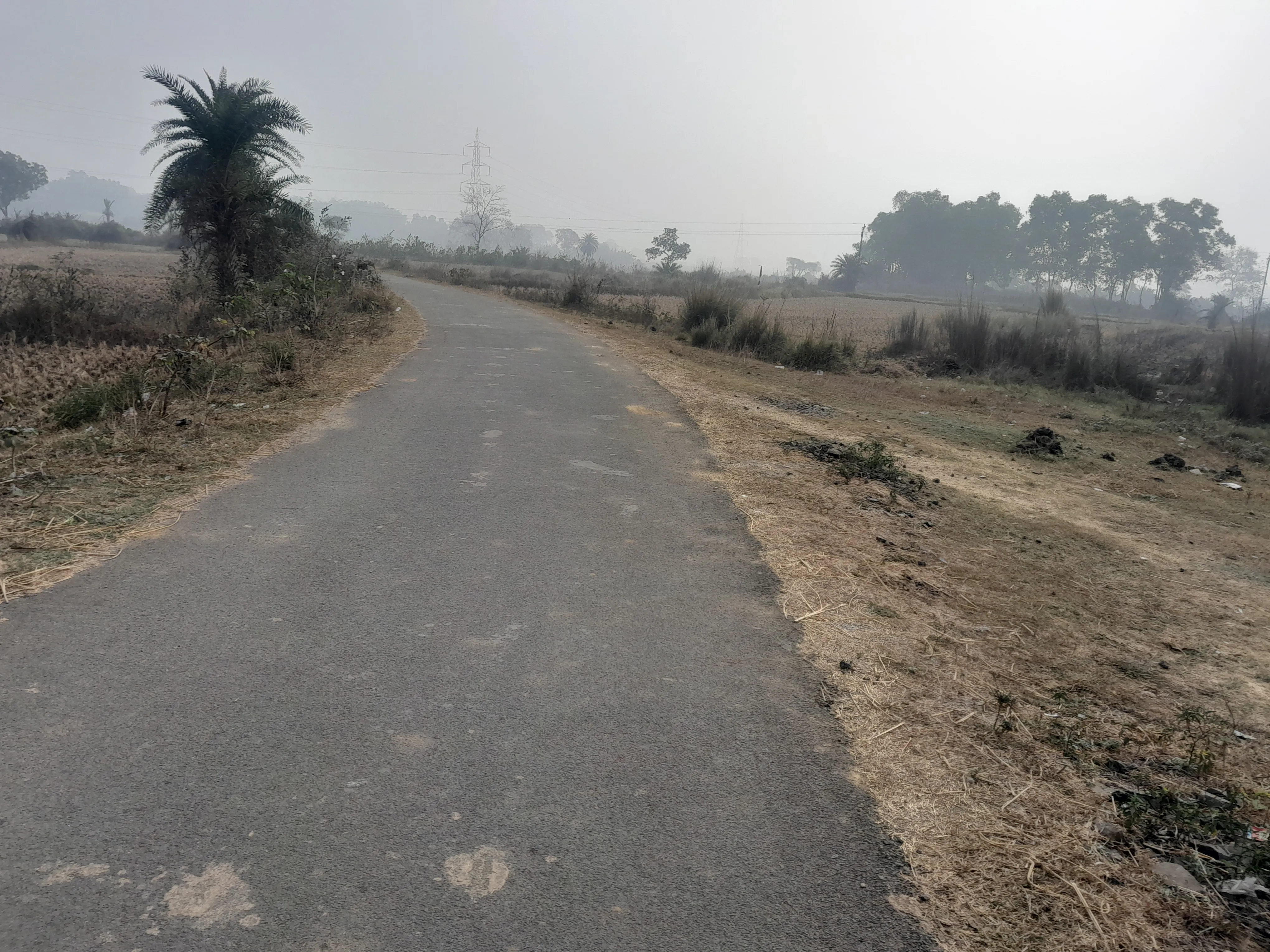 Land for Sale in Bankura, 100 Bigha Low-Budget Land at Barjora