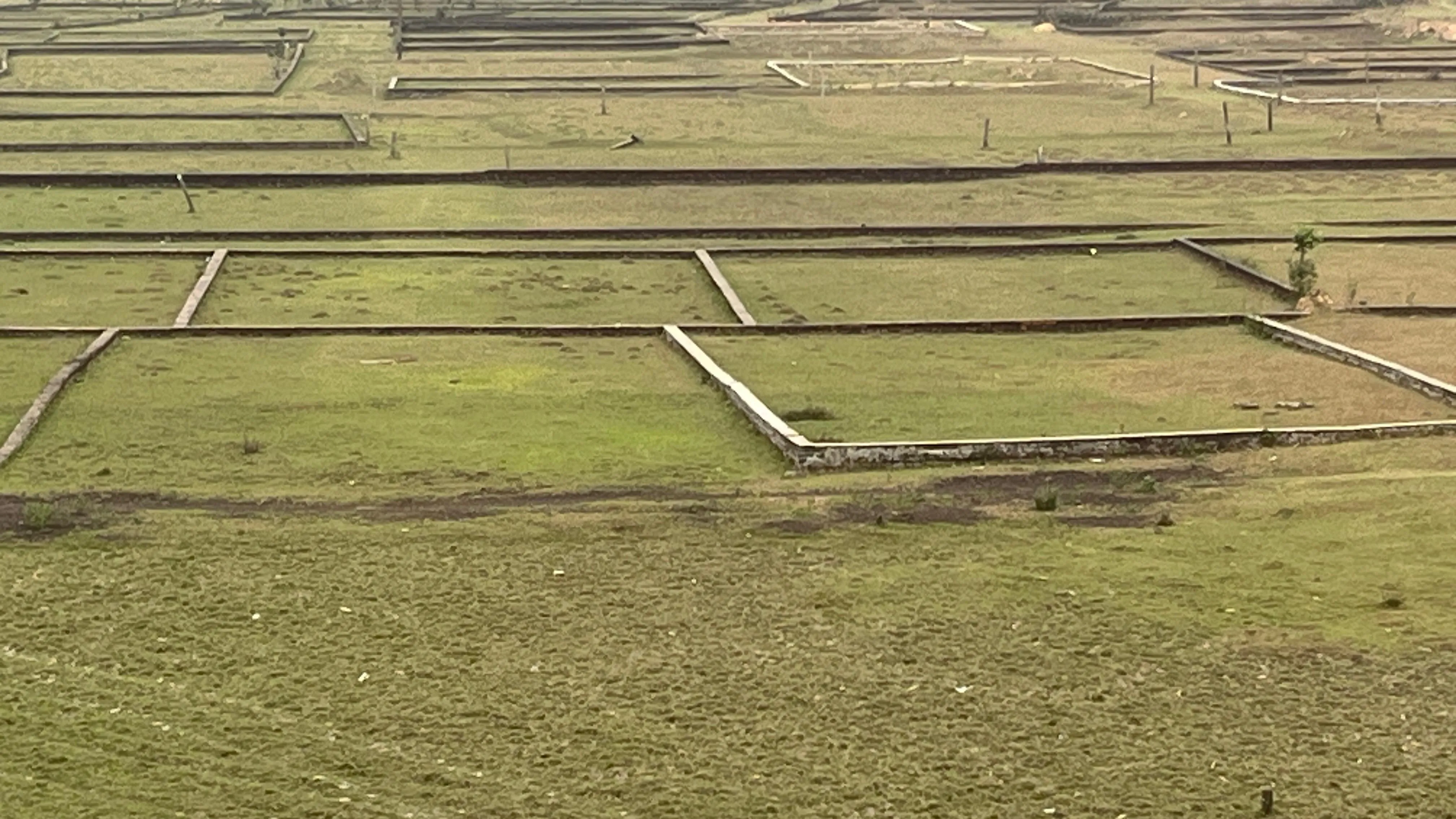 4 katha plot 