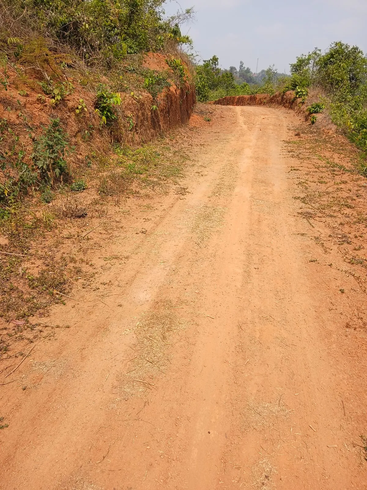 1 Acre plot in Kerala