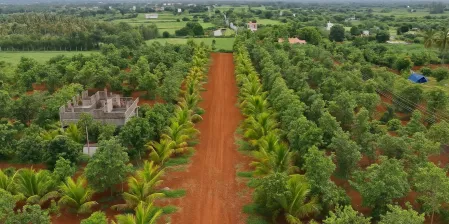 Trichy Panjappur Farmland Sale – 10,000 Sq.Ft Plots | Eco-Friendly Community Land | Limited Availability