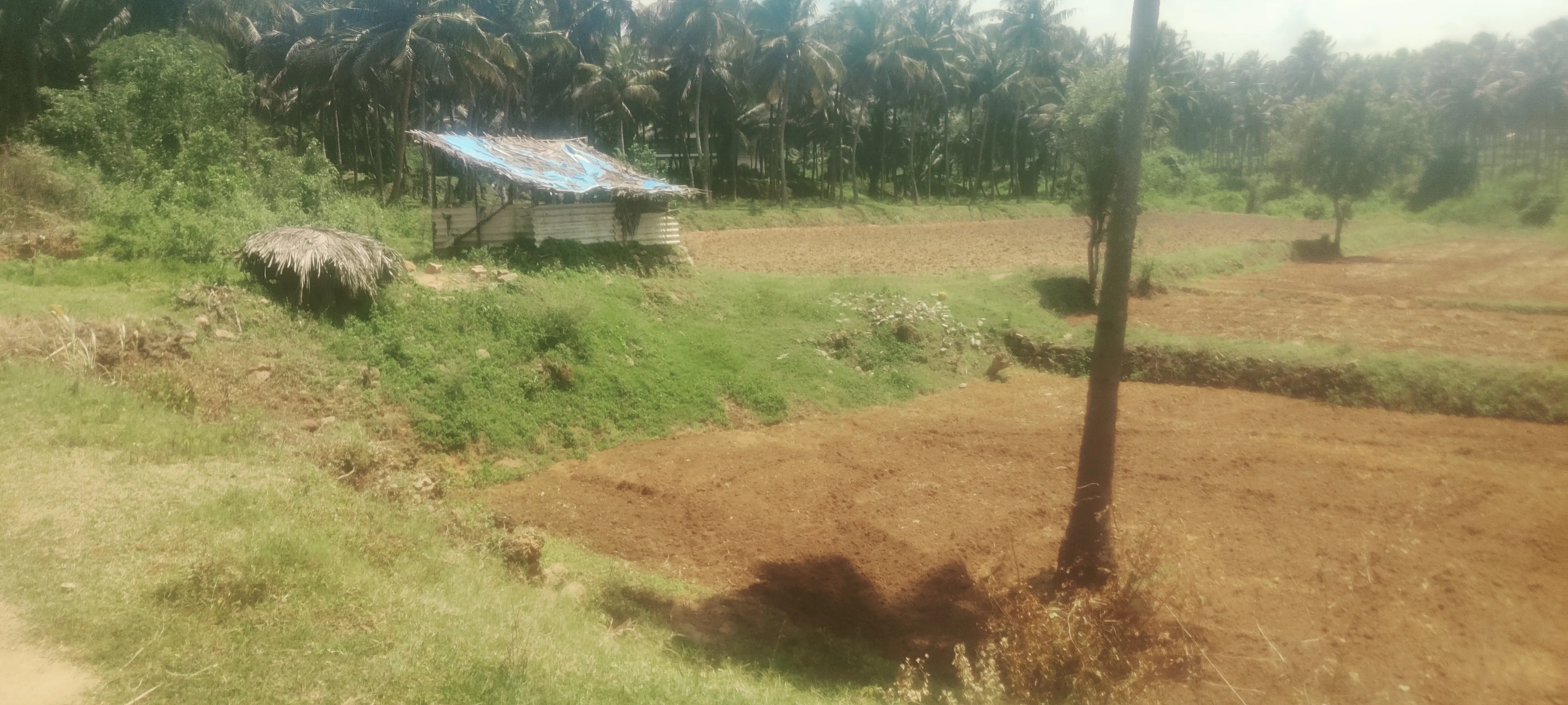 2 acres agriculture property for sale in coimbatore 