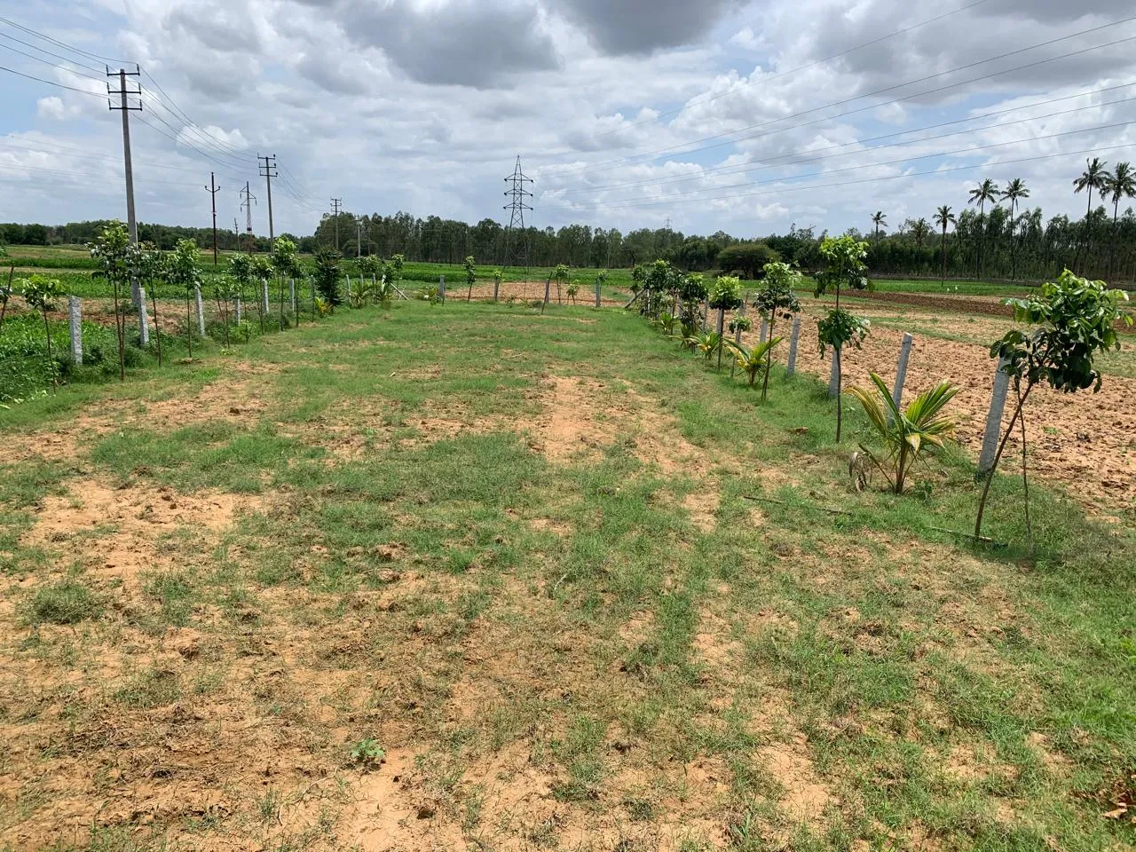 plot for sale