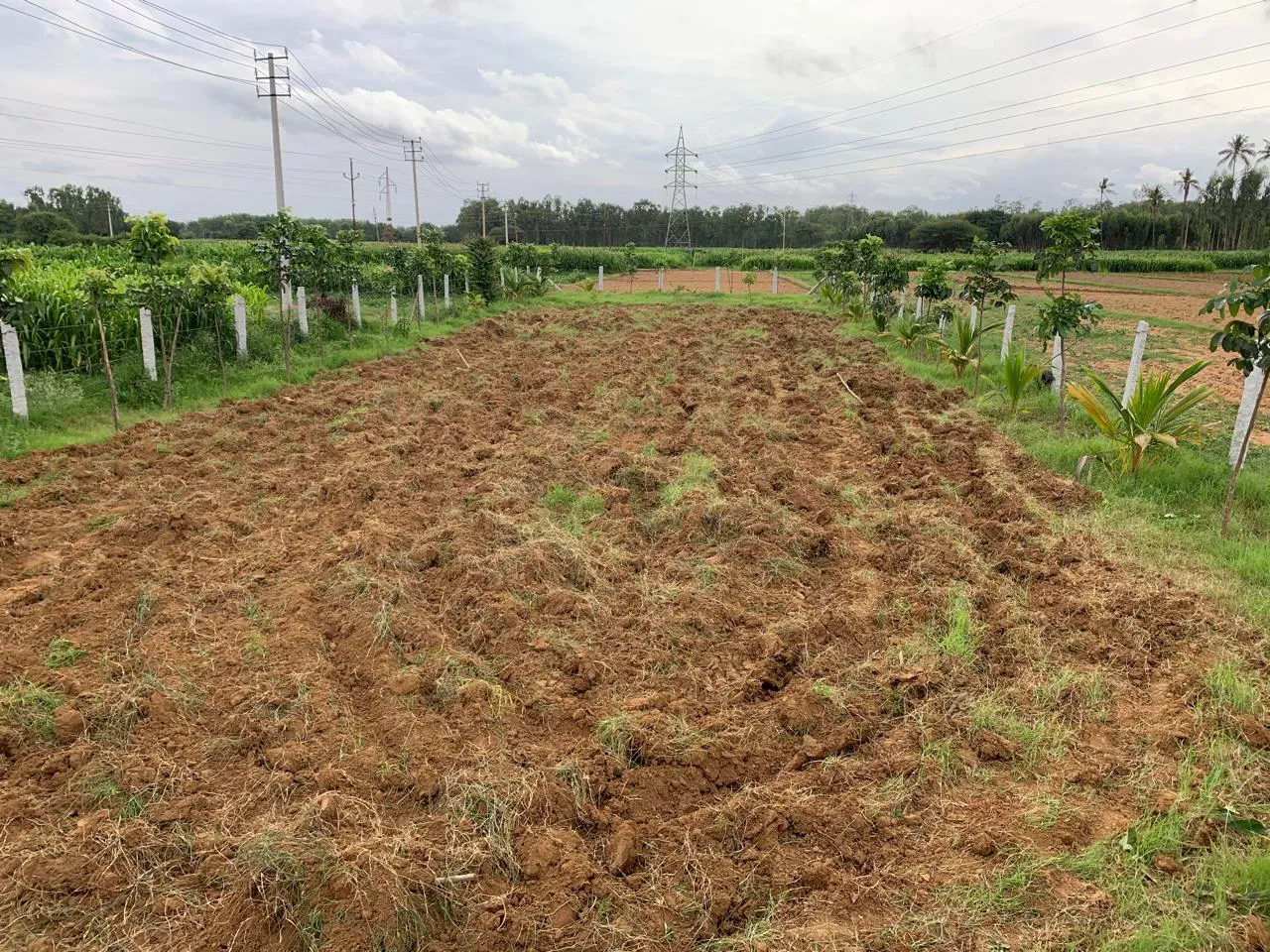 6536sq.ft plot for sale in Devanahalli Bangalore