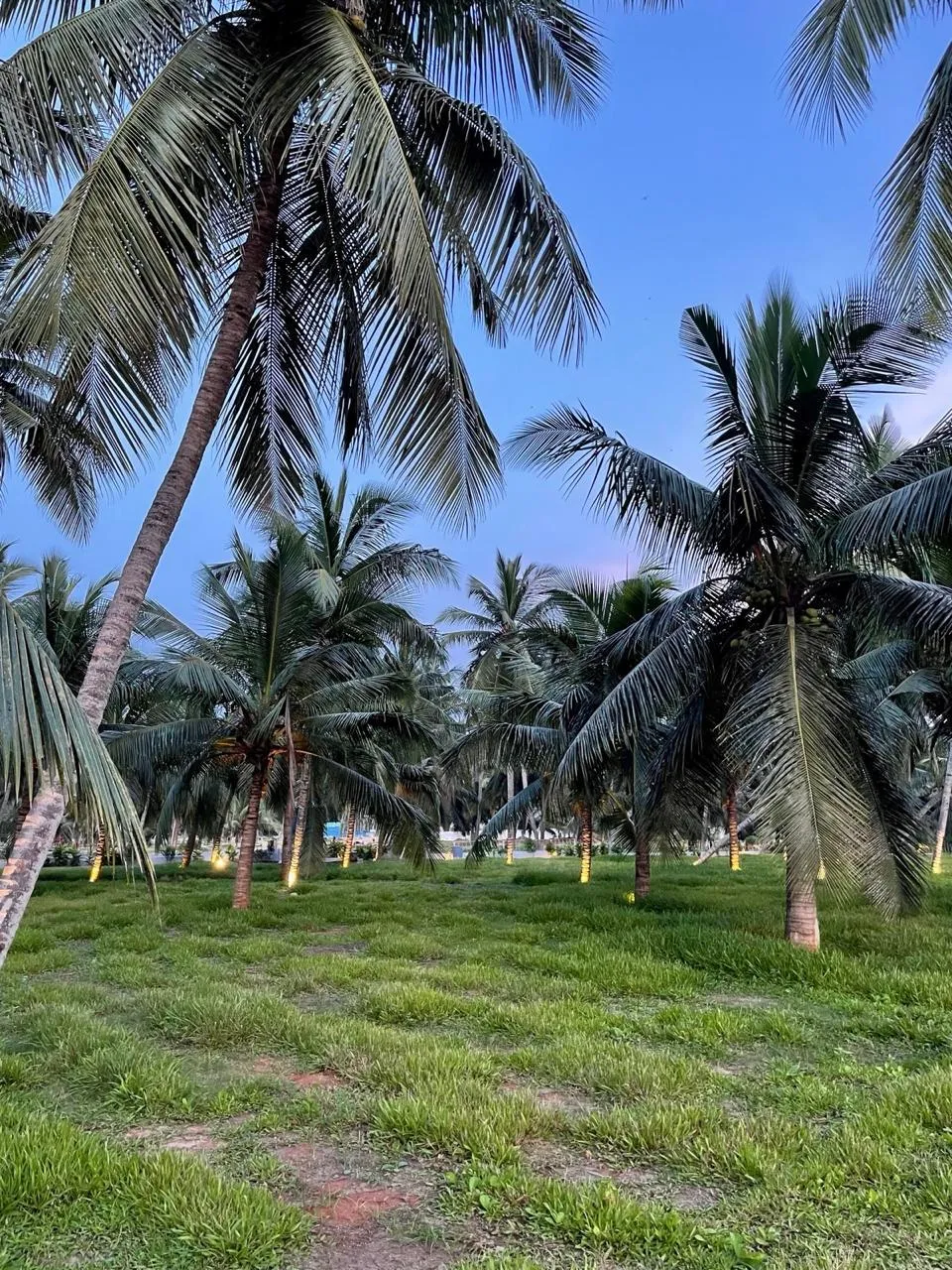 SUDA approved - SVN BAY PARCK (EAST - 220 sq.yards & WEST - 267 sq.yards PLOTS) - 14500 per sq.yard