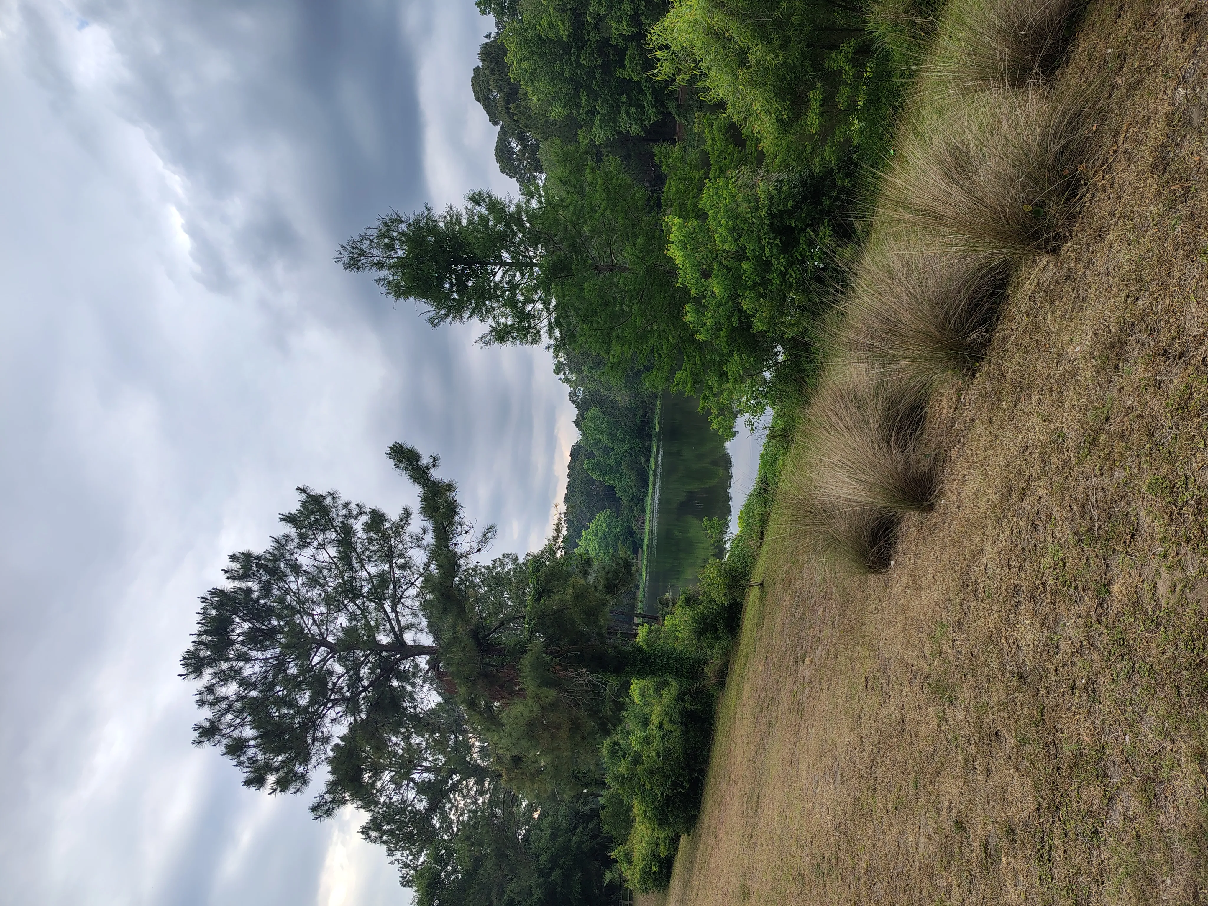 3.15 Acres Land 