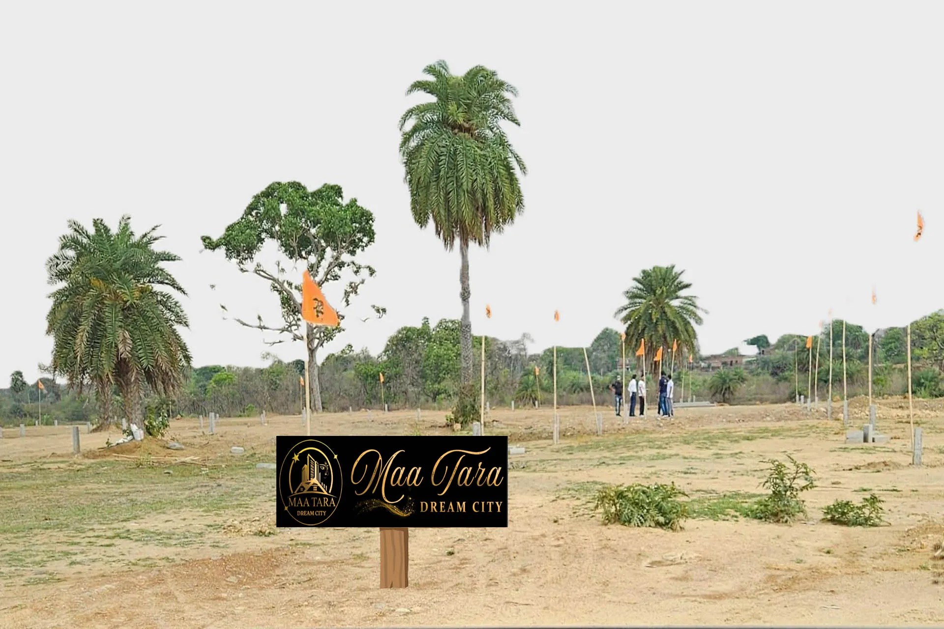 50 Acre Land Plot At TopChachi Dhanbad 
