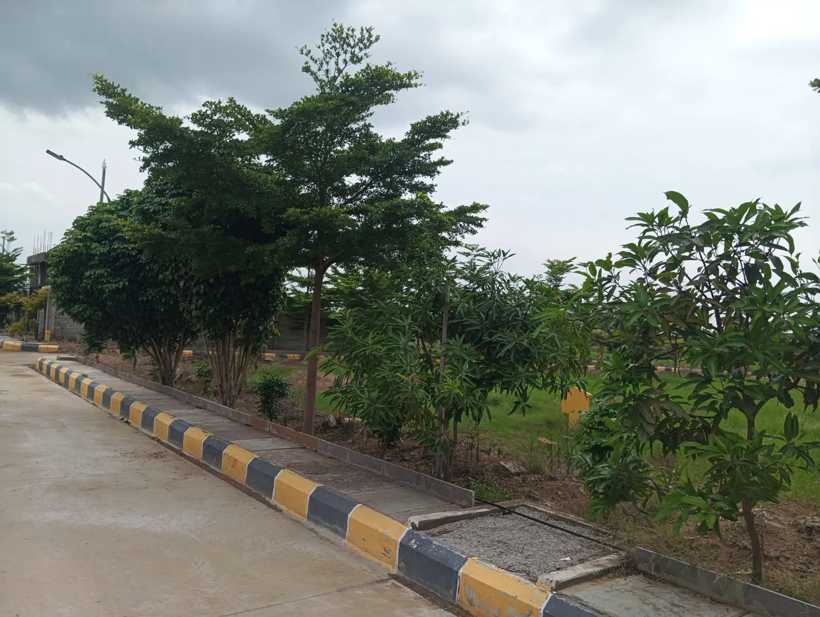 HMDA RERA approved plots | Vasudaika henley woods | Near Shamshabad RGI airport - Hyderabad 
